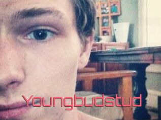Youngbudstud