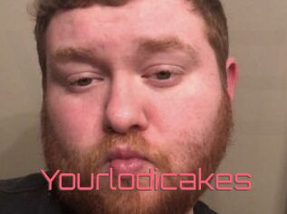 Yourlodicakes