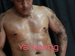 Yankeebig