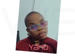 Yario