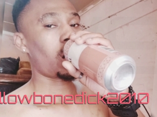 Yellowbonedick2010