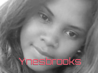Ynesbrooks