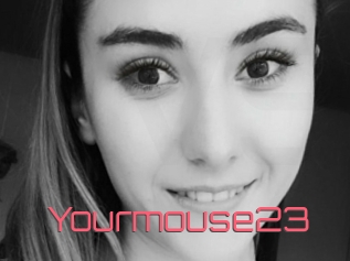 Yourmouse23
