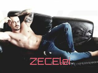 ZECElei