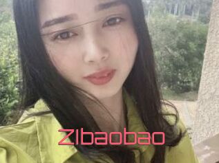 ZIbaobao