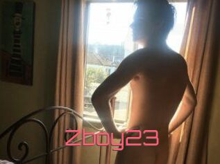 Zboy23