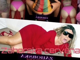 Zahorska_cervena