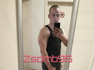 Zsomb95